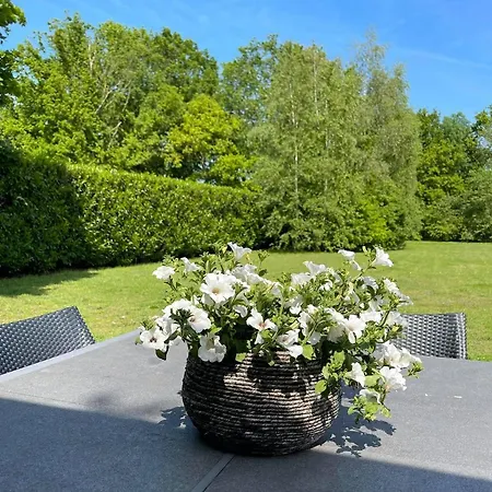 Bed & Breakfast Prinshaerlyck Overnachten *
