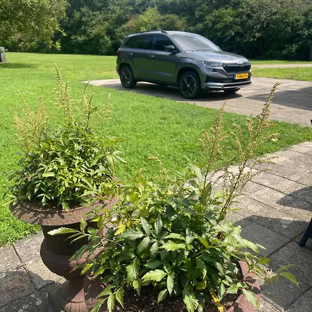 Bed & Breakfast Prinshaerlyck Overnachten