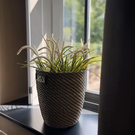 Nocleg ze śniadaniem Prinshaerlyck Overnachten 4*