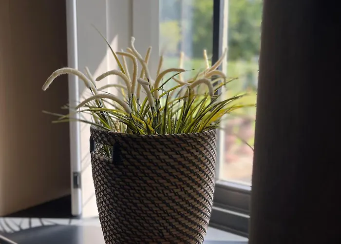 Alojamento de Acomodação e Pequeno-almoço Prinshaerlyck Overnachten 4*