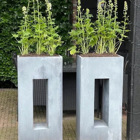 Prinshaerlyck Overnachten Alojamento de Acomodação e Pequeno-almoço Made