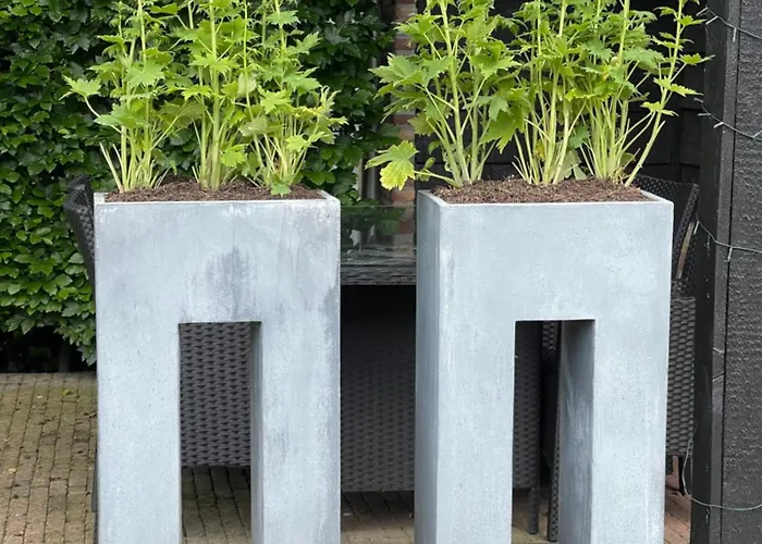 Prinshaerlyck Overnachten Bed and Breakfast Made