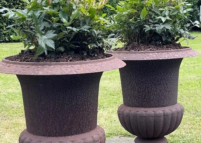 Prinshaerlyck Overnachten Bed and Breakfast