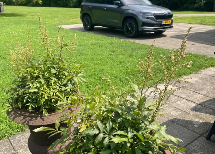 Bed and Breakfast Prinshaerlyck Overnachten